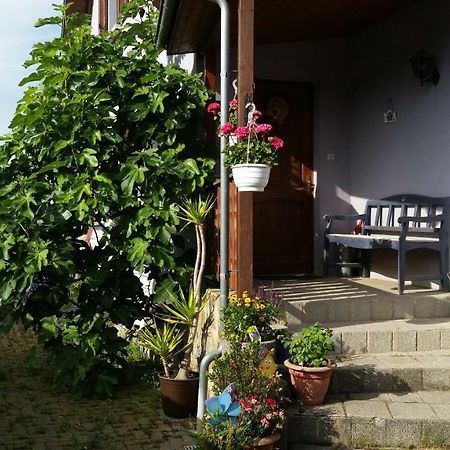 Urlaub Im Elsass Apartment Artolsheim Luaran gambar