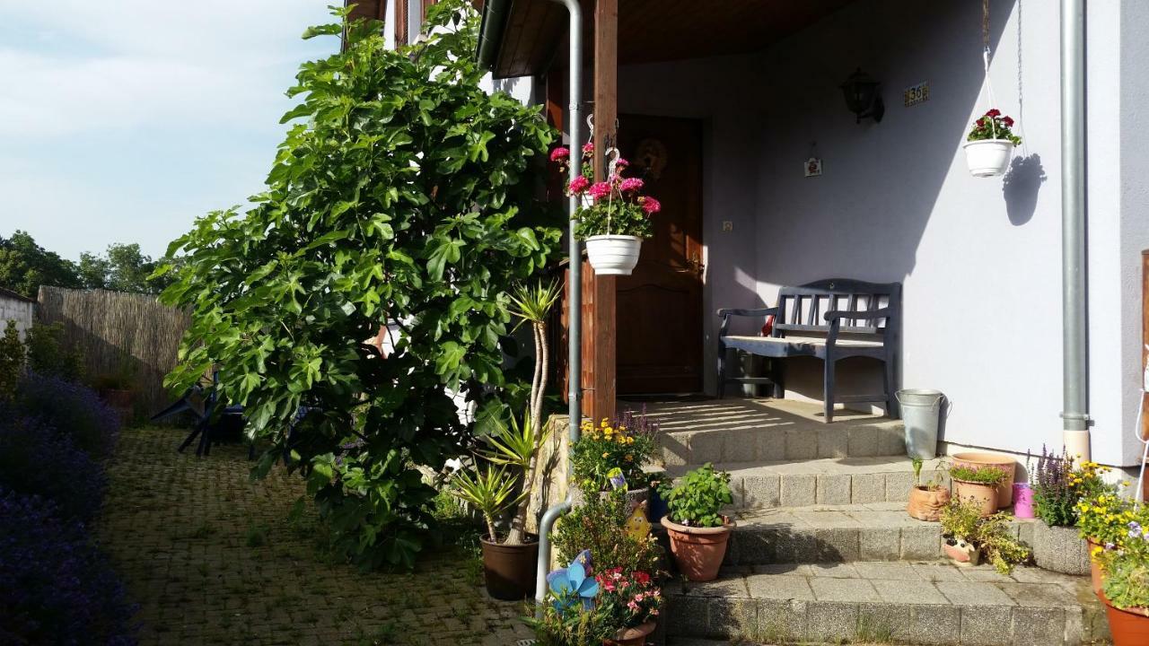 Urlaub Im Elsass Apartment Artolsheim Luaran gambar