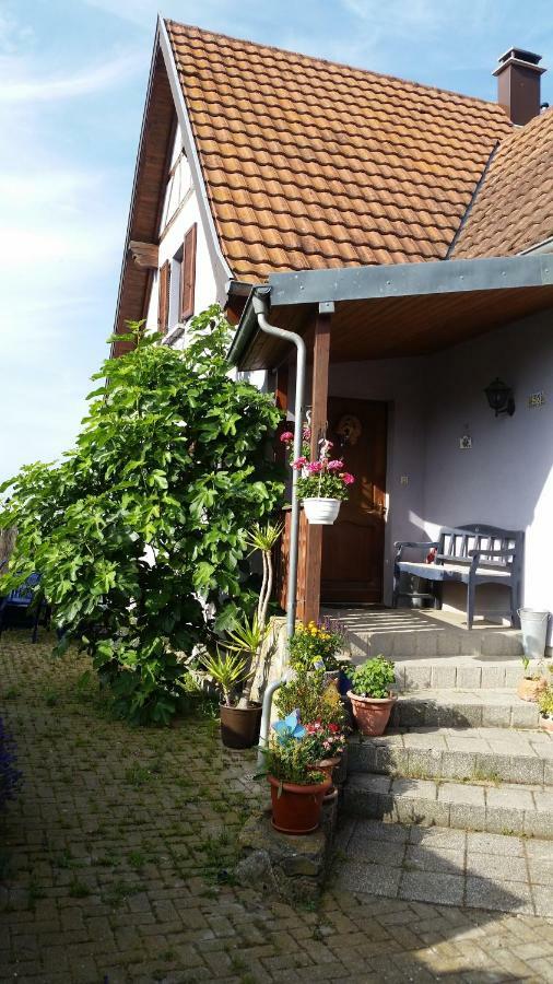 Urlaub Im Elsass Apartment Artolsheim Luaran gambar